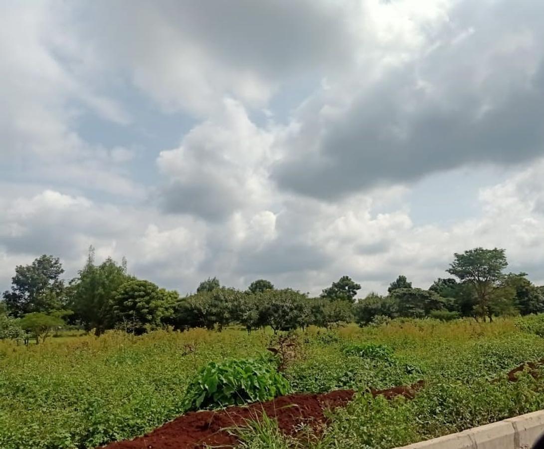 0.25 ac Residential Land at Thika-Kenol Road