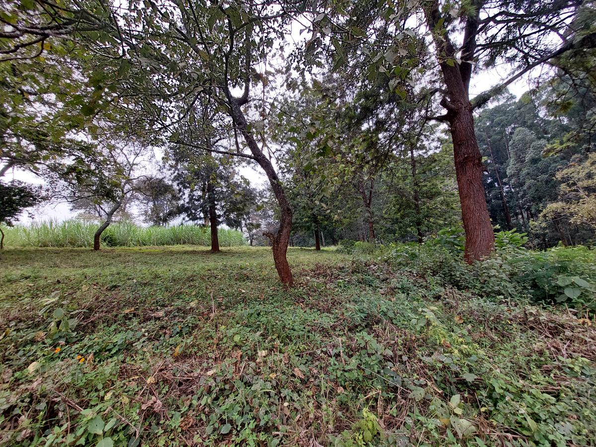 Residential Land at Ruaka Road - 3