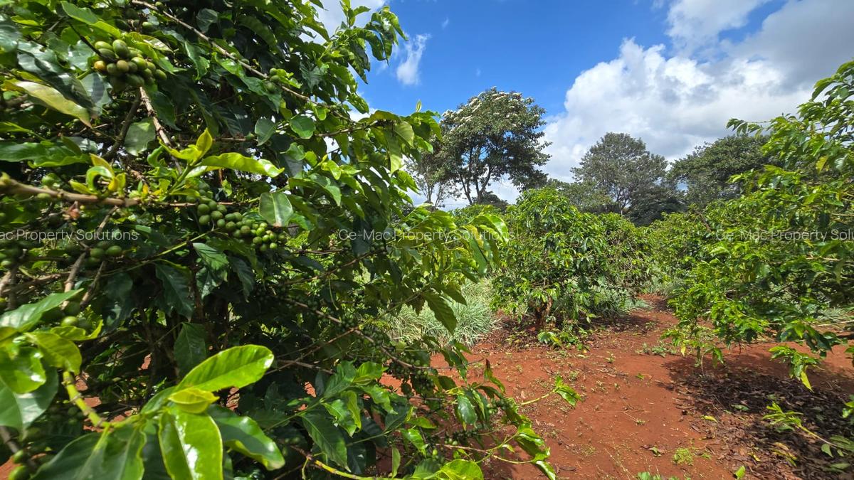 0.25 ac Residential Land at Kamiti Road - 6