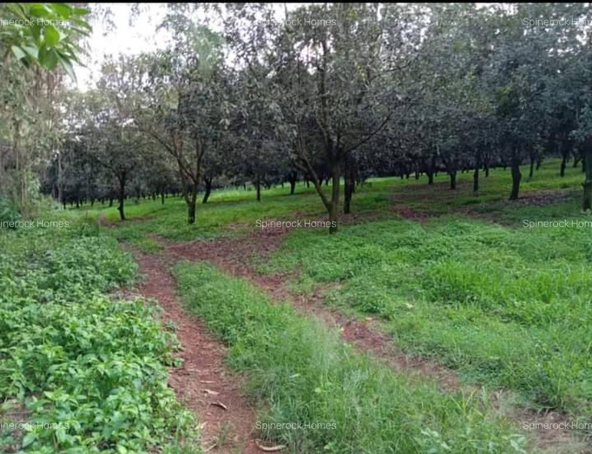 0.125 ac Residential Land at Juja Gatundu Road - 10