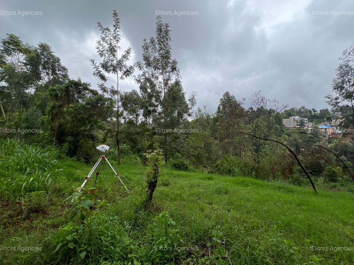 0.42 ac Residential Land at Kirawa Road - 13