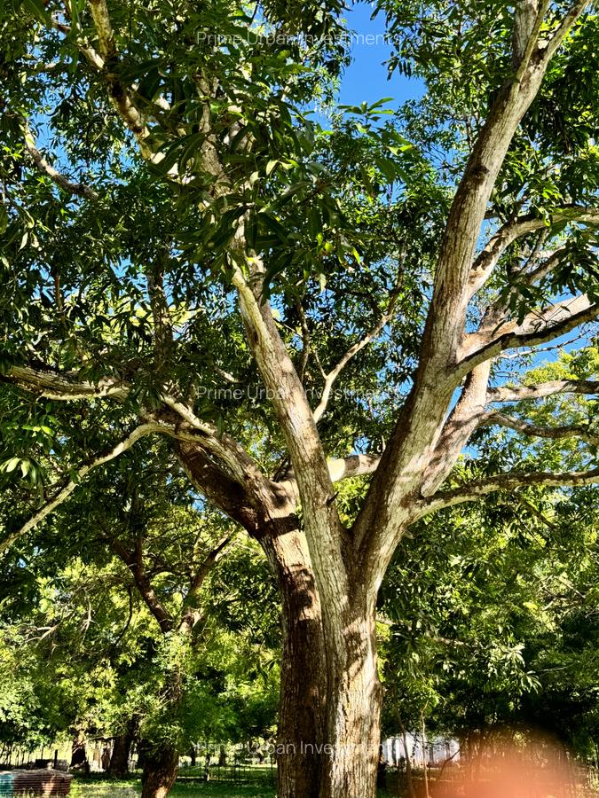 167.5 ac Land at Kuruwitu Beach - 13