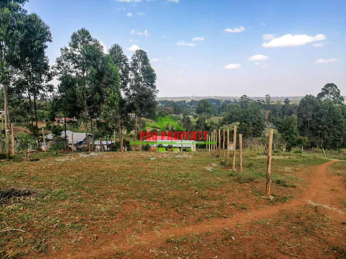 0.25 ac Residential Land at Kamangu - 10