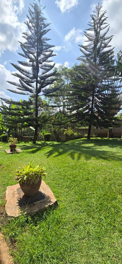 4 Bed House with En Suite in Kitisuru - 13