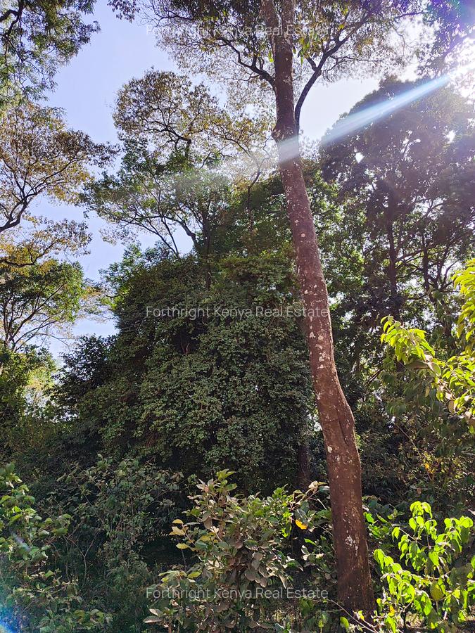 0.5 ac Land at Hardy - 19