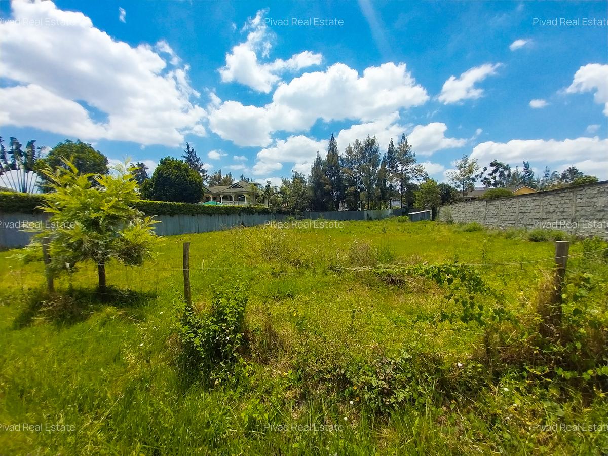 0.5 ac Land at Thome Stream Drive - 2