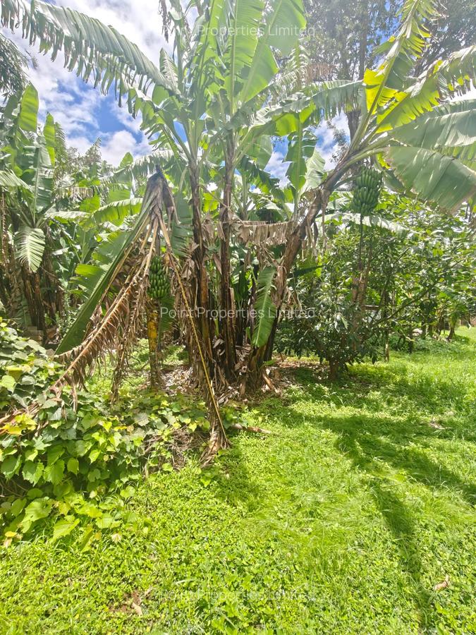 0.5 ac Land in Garden Estate - 8