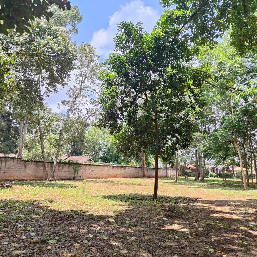 1 ac Land at Thigiri Ridge - 18