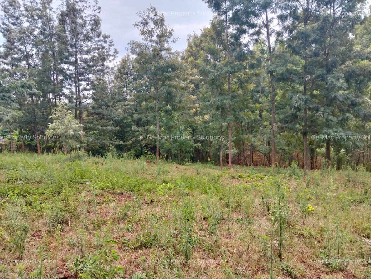 Land at Kirawa Road - 6