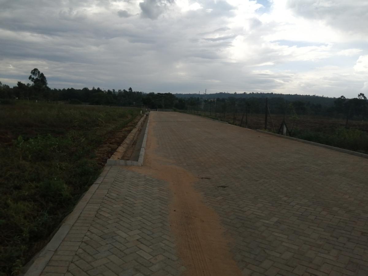 0.5 ac Residential Land at Runda Mumwe - 3