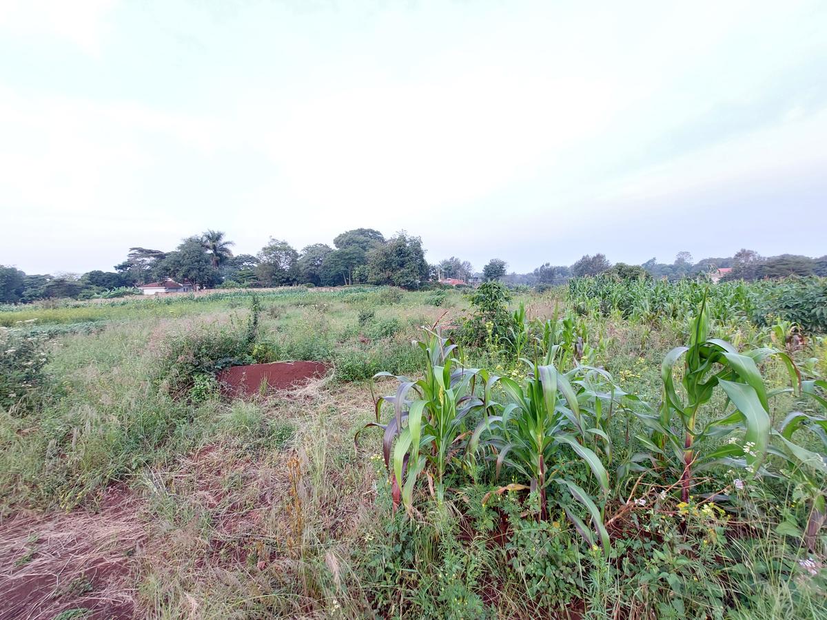 Residential Land at Kirawa Road - 14