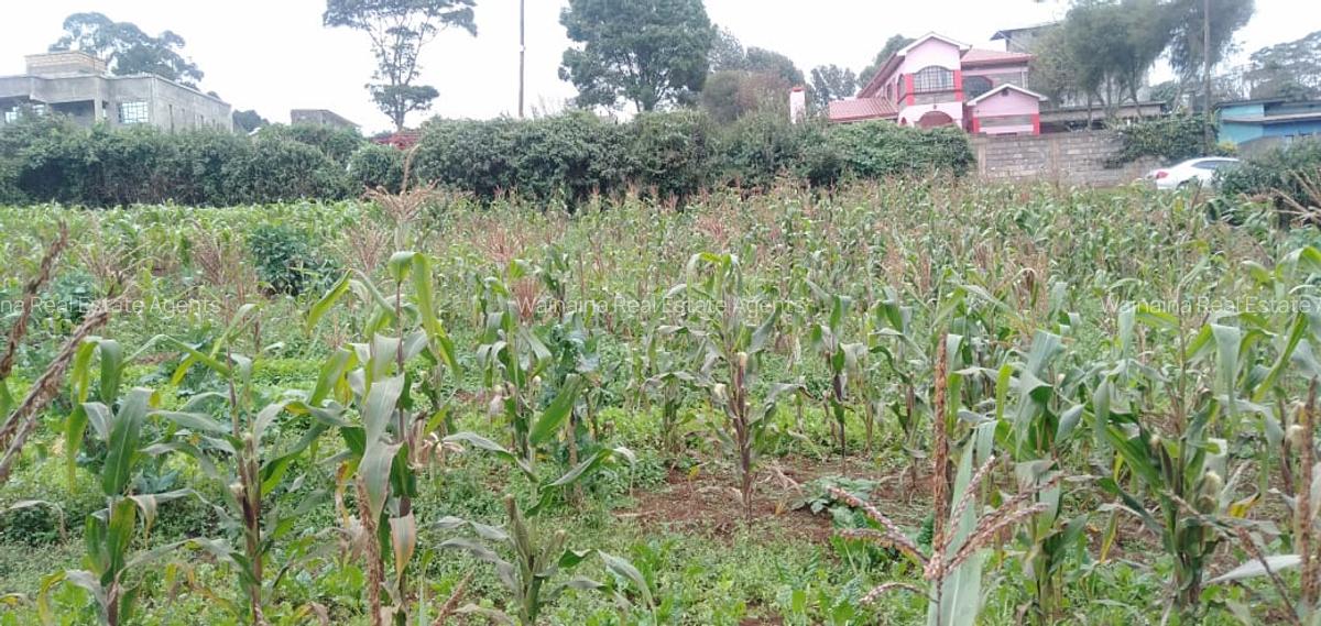 5,000 m² Land at Limuru-Karanjee - 12