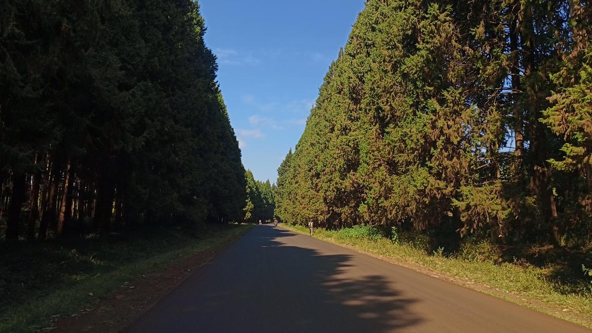 0.1 ac Residential Land at Kikuyu - 2