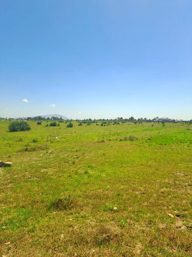 0.125 ac Land at Juja - 9