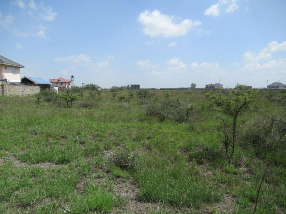 6.1 ac Land at Sabaki - 4