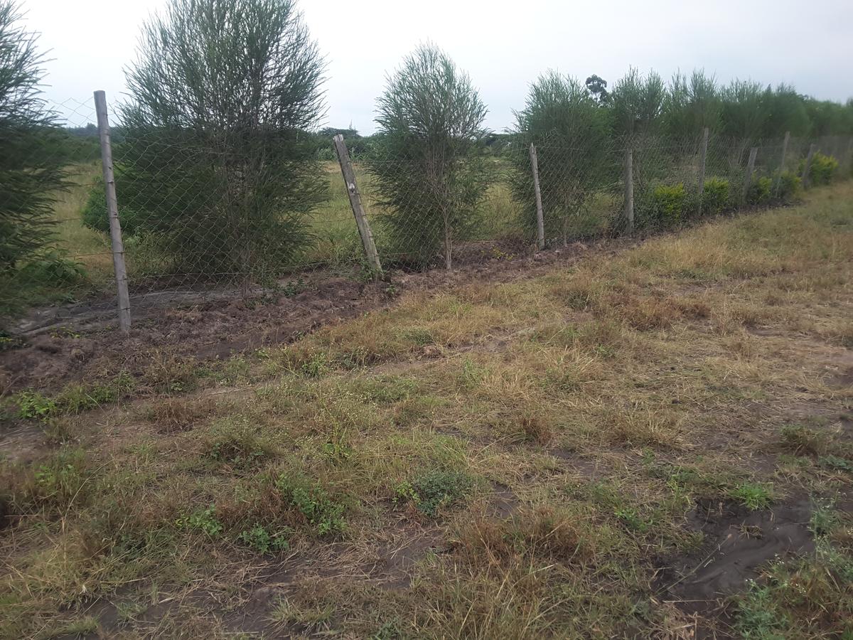 0.125 ac Residential Land in Ongata Rongai - 6