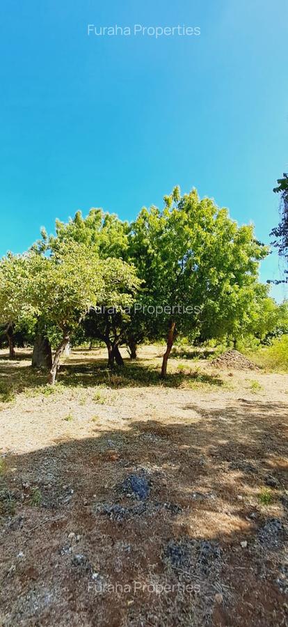 Land in Kikambala - 15