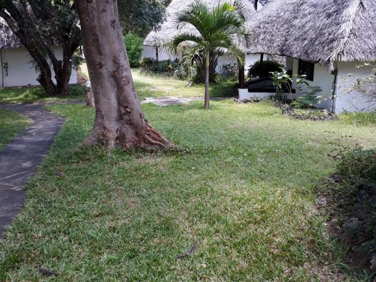 Commercial Property in Malindi - 5