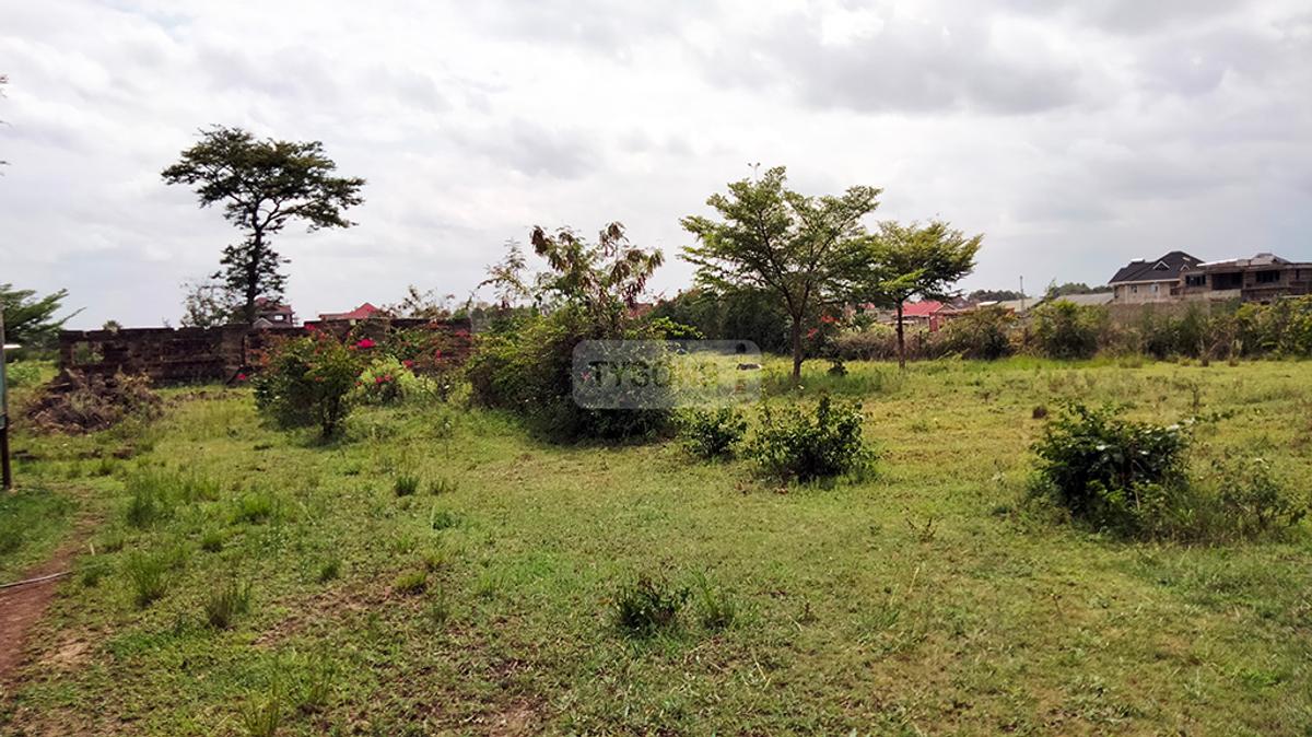 1 ac Land in Ruiru - 1