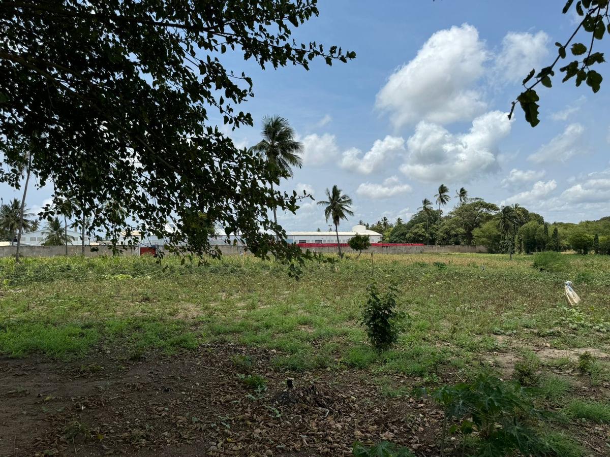 Land in Mtwapa - 8