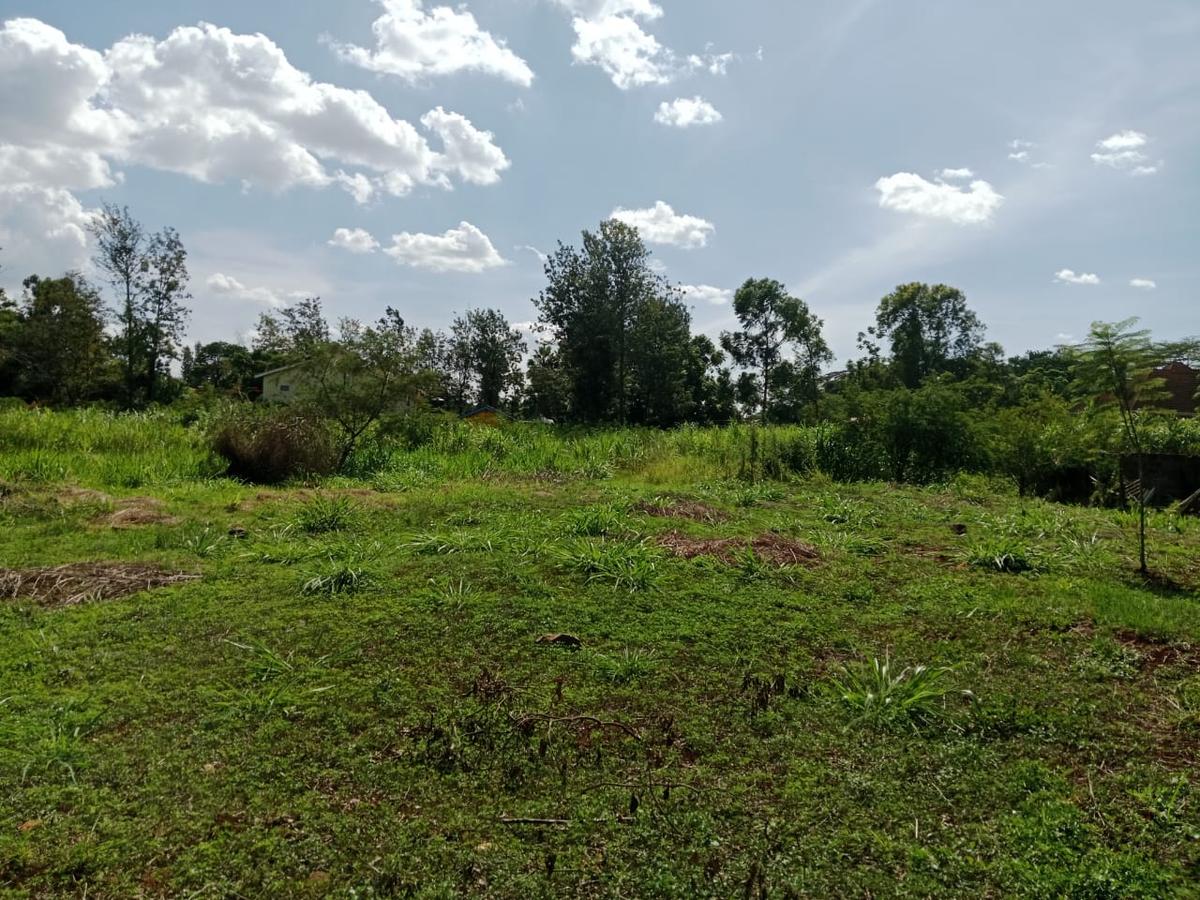 Land at Roysambu - 6