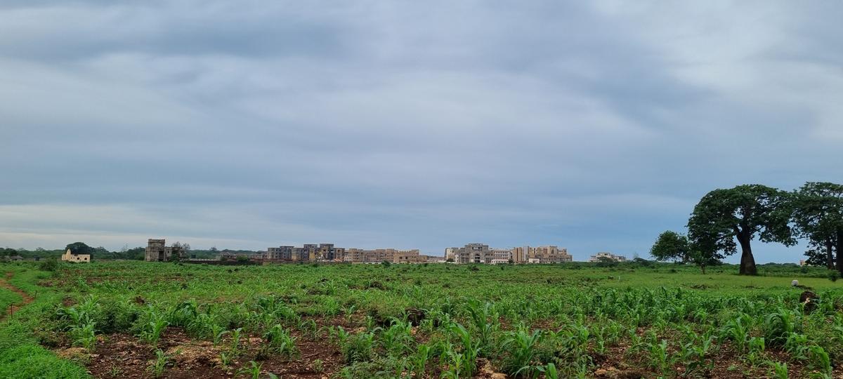 5 ac Land at Vipingo - 9