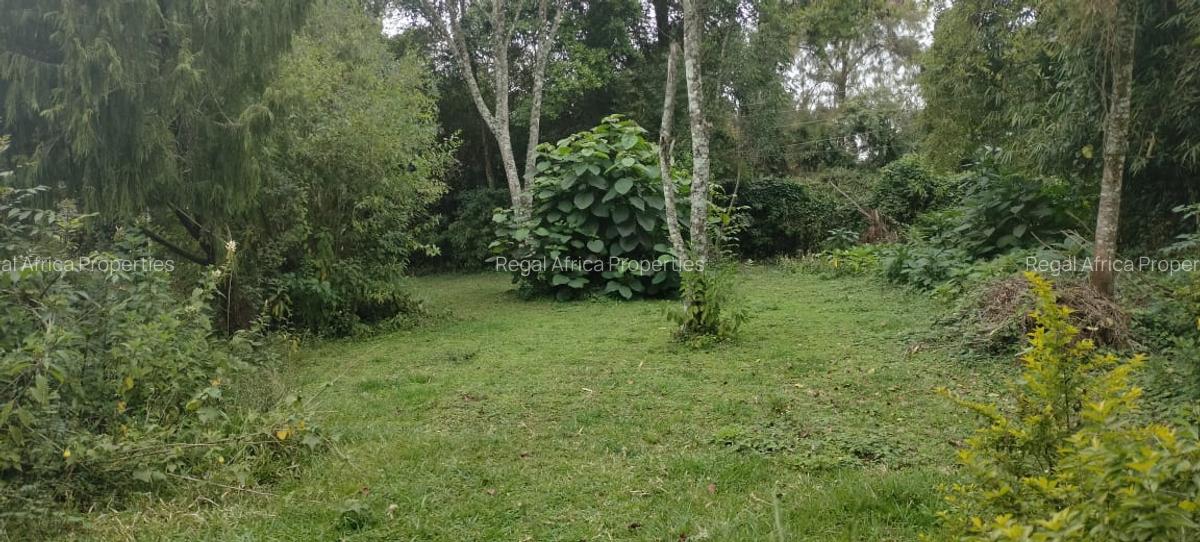 6 Bed House with En Suite in Tigoni - 5