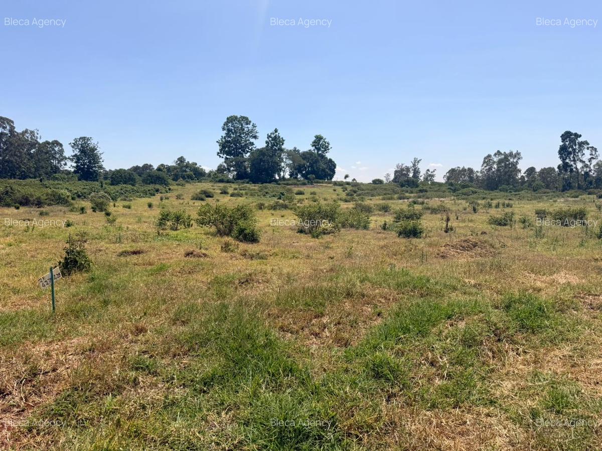 648 m² Residential Land at Ruiru-Githunguri Road - 10