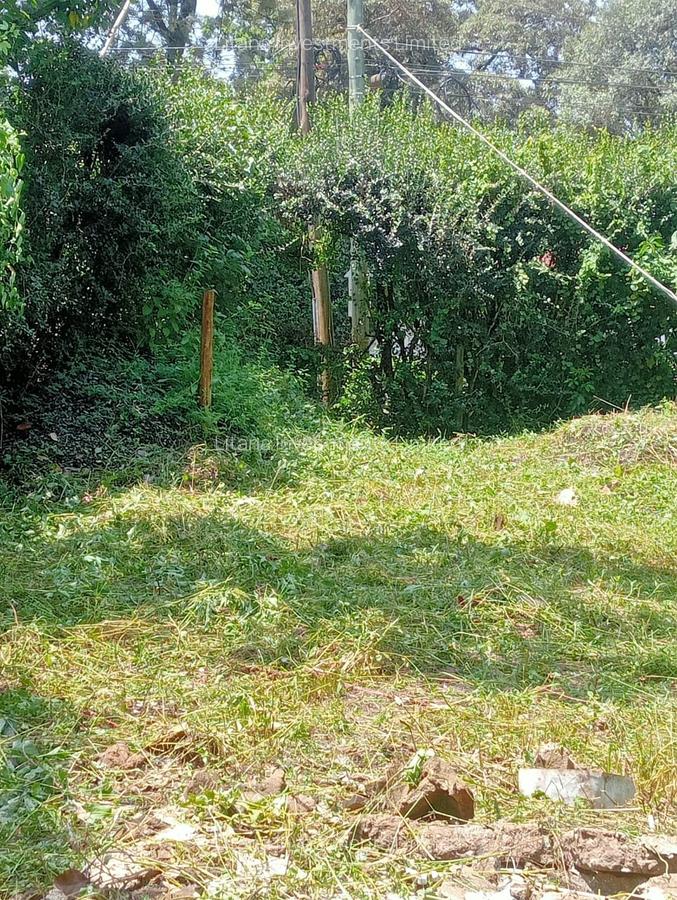 2 ac Land in Karen - 2