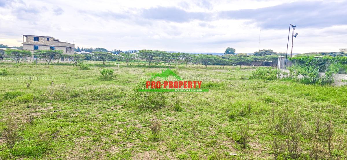 0.05 ha Residential Land in Naivasha - 4
