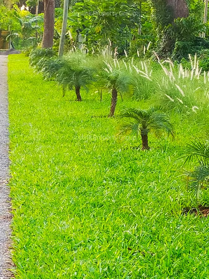 Land in Nyali Area - 9