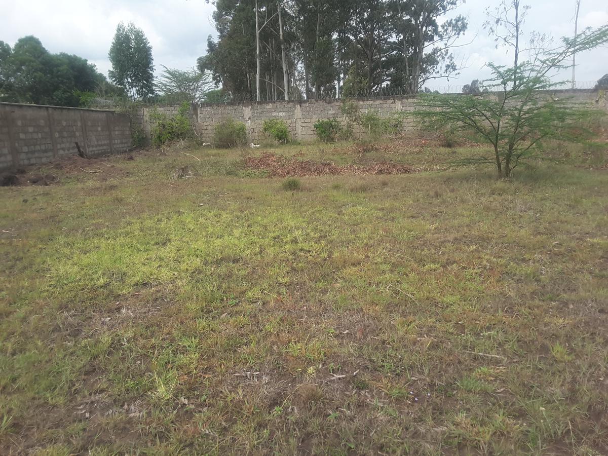 0.5 ac Residential Land in Karen - 10