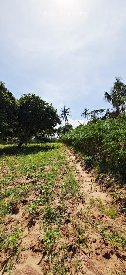 Land at Kilifi Tezo - 19