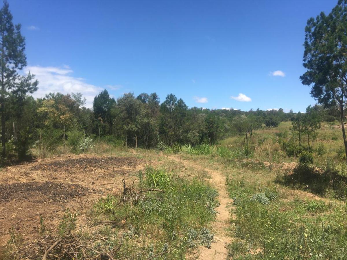 Residential Land at Narumoru-Kileleshwa - 4