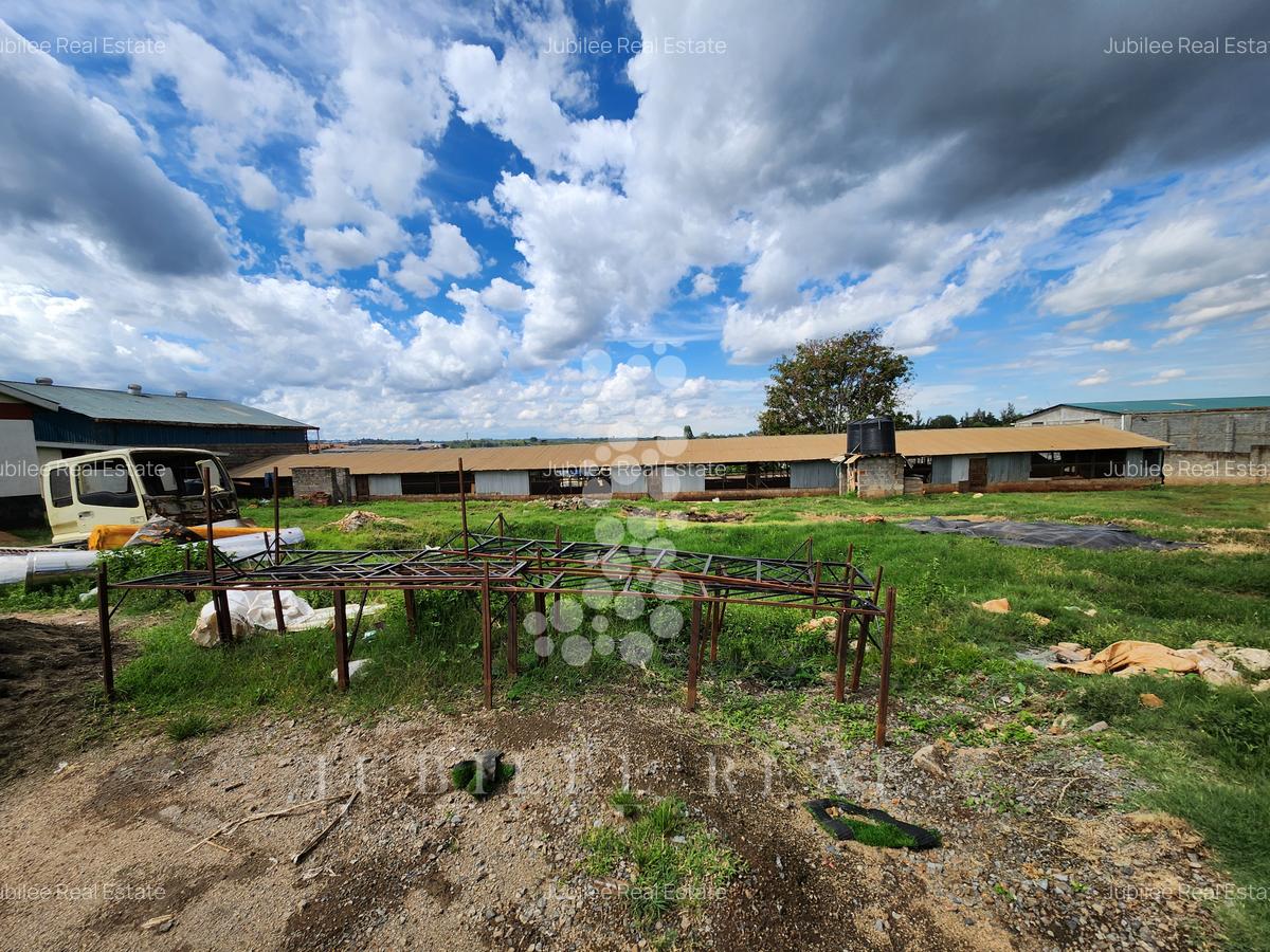 2 ac Commercial Property with Fibre Internet in Ruaka - 2