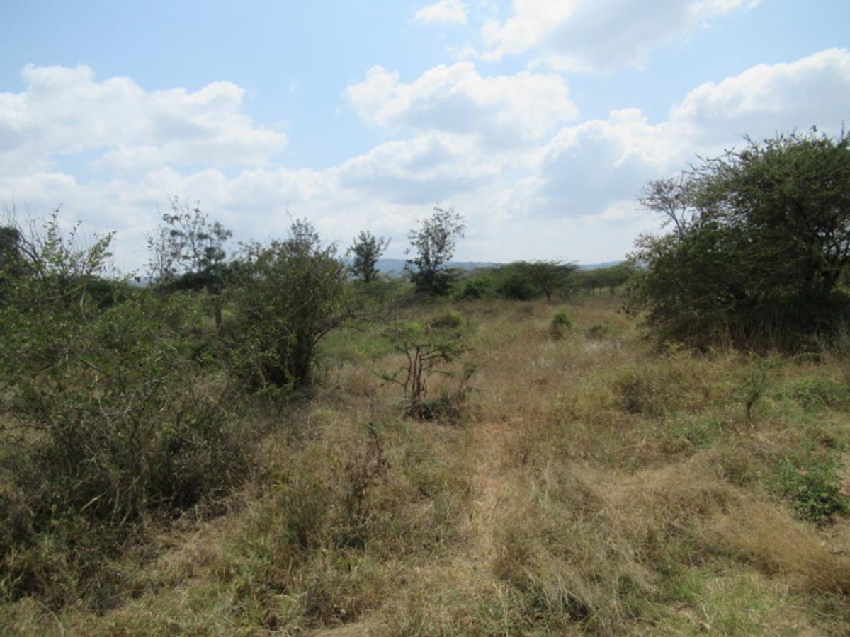 Commercial Land at Maanzoni - 9