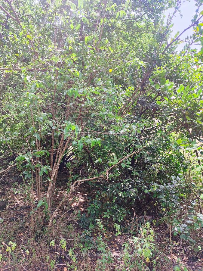 Residential Land at Hardy - 3