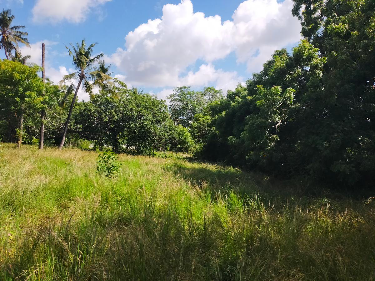 Land in Kilifi County - 17