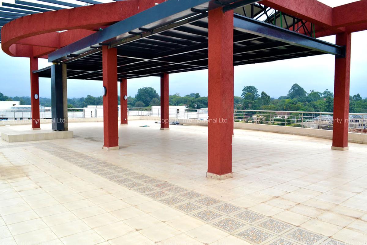 5 Bed Apartment in Spring Valley - 19