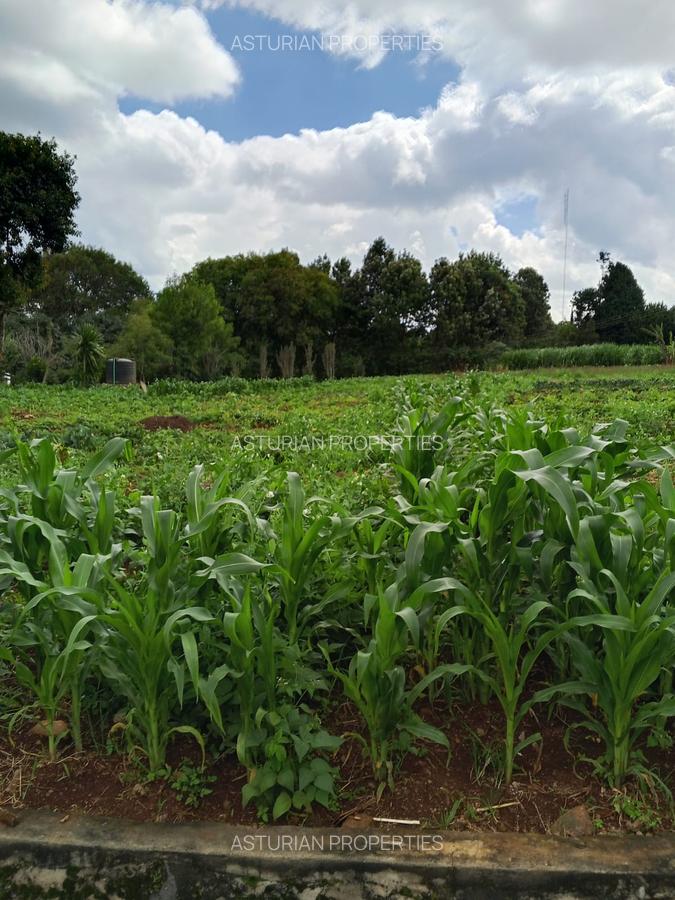 0.5 ac Land in Tigoni - 9