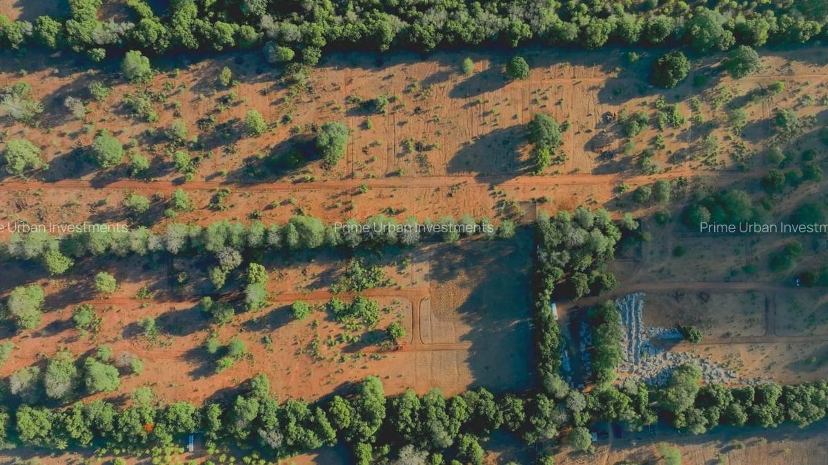 1,012 m² Residential Land at Kuruwitu Blue Green Estate Vipingo - 7