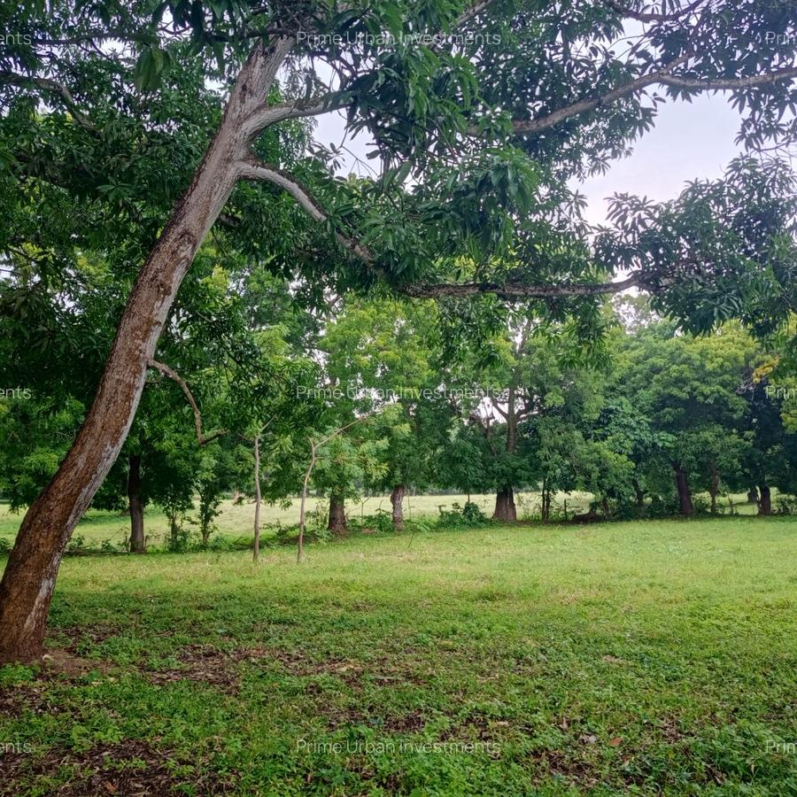 73.6 ac Land at Vipingo Kuruwitu Beach - 8