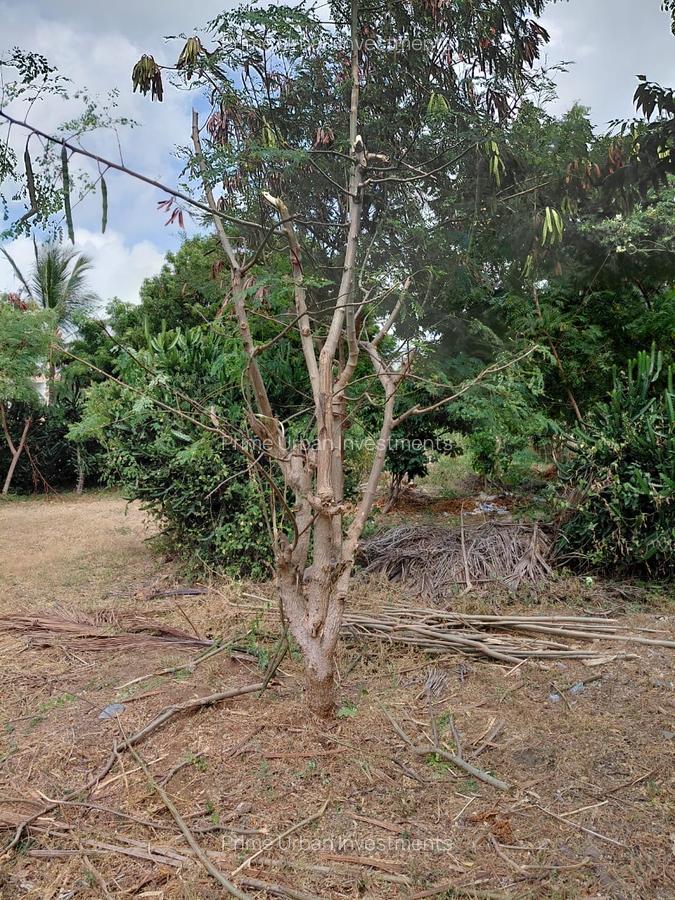 land for sale — image 1 of 2