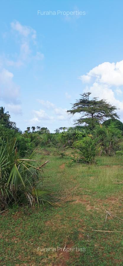 Land at Tiwi Near Diani South Coast - 4