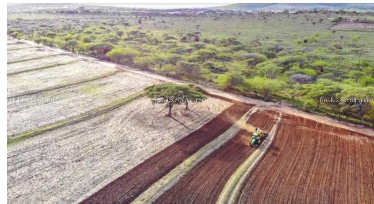 540 ac Land in Bisil - 5