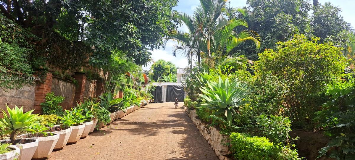 Commercial Property in Lavington - 2