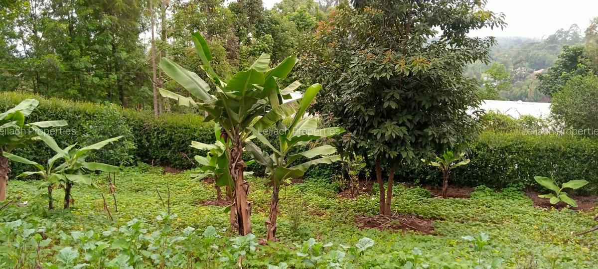 4 Bed House with En Suite in Ngong - 11