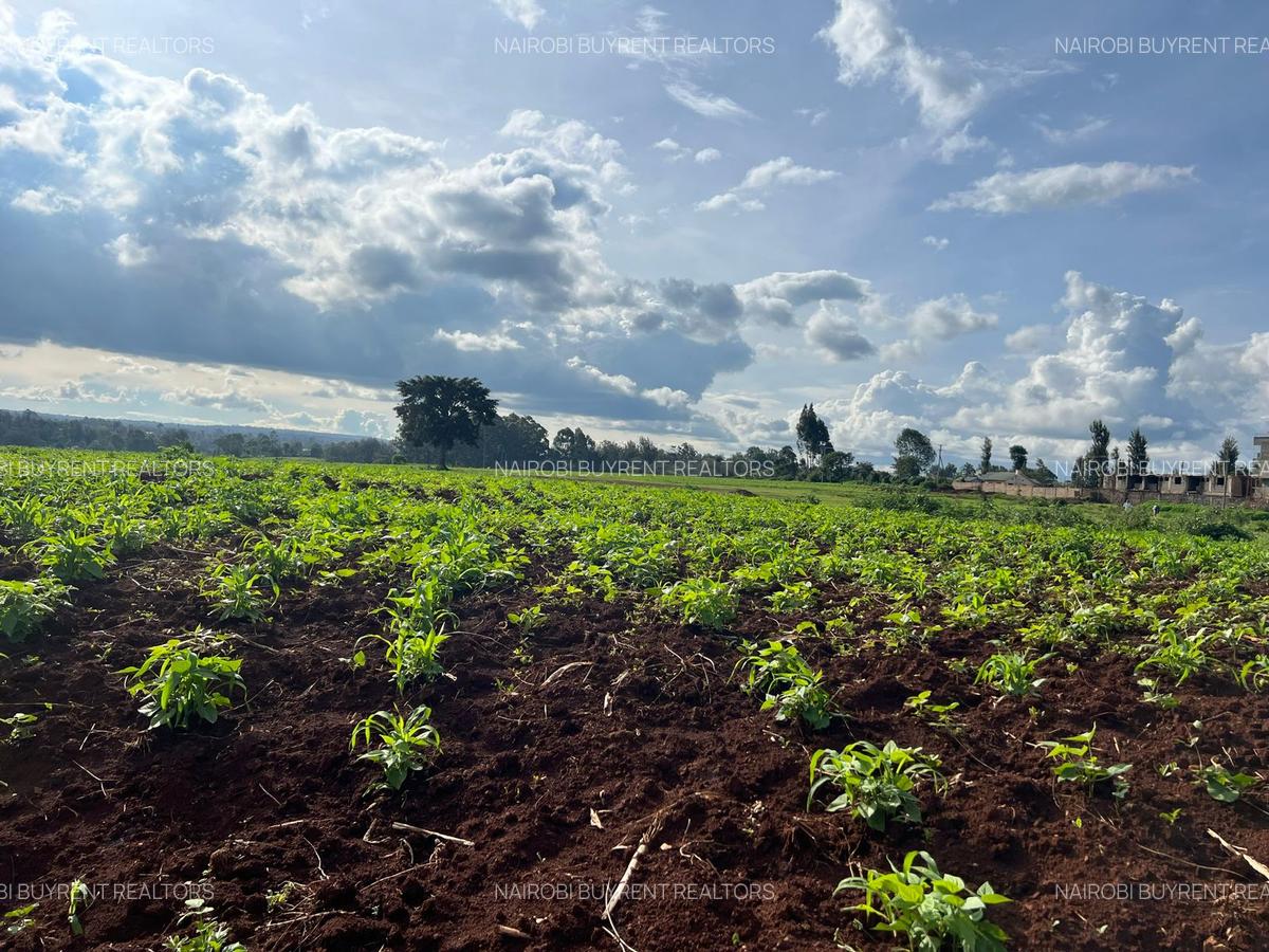 25 ac Land in Kitisuru - 5