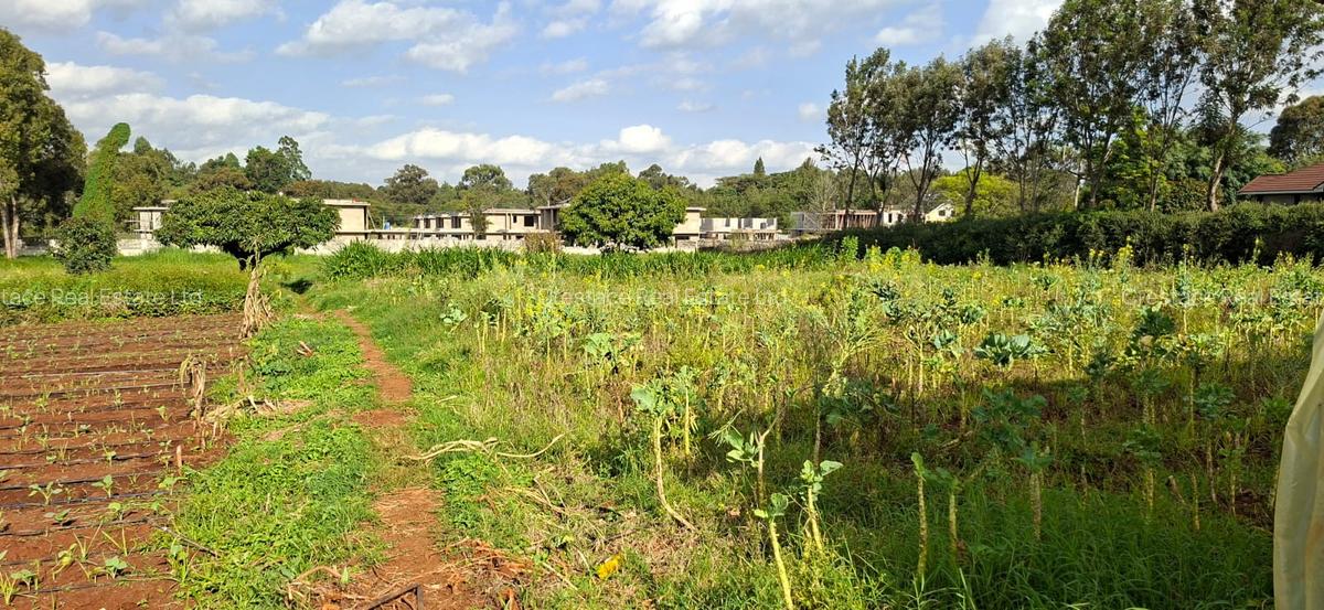 0.2 ha Residential Land at Three Dee Lane - 6
