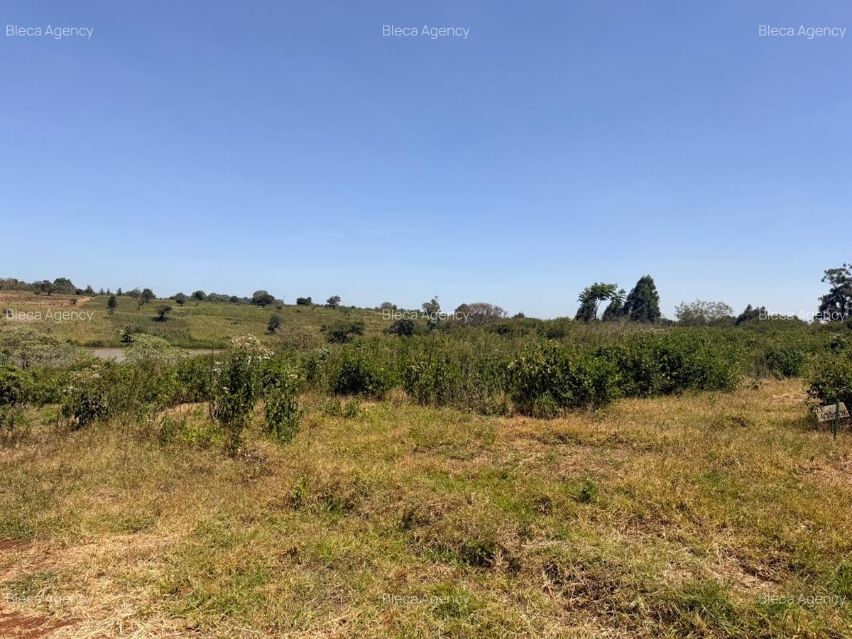 500 m² Land at Ruiru-Githunguri Road - 10
